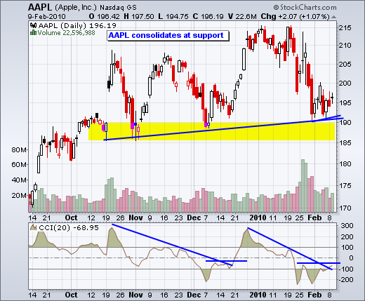 100210aapl
