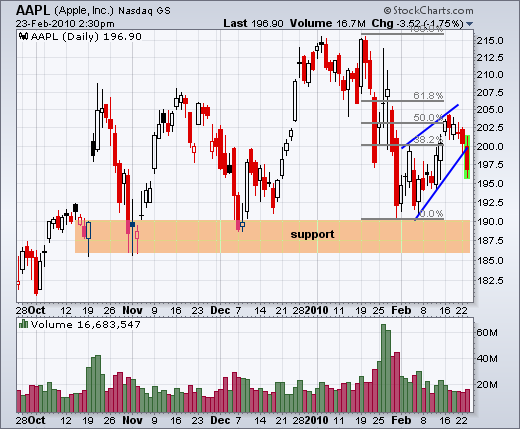 100223aapl 100223aapl