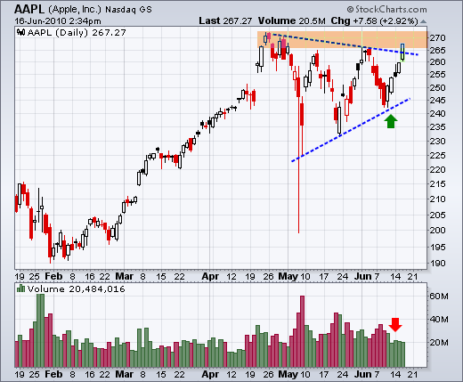100616aapl 100616aapl