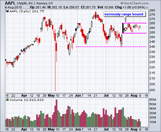 100810aapl 100810aapl