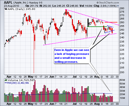 100824aapl 100824aapl