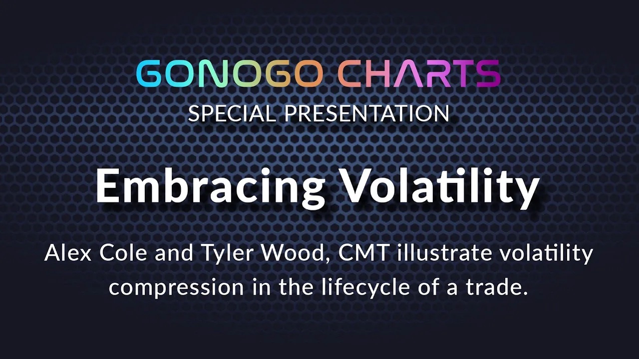GoNoGo Special: Embracing Volatility