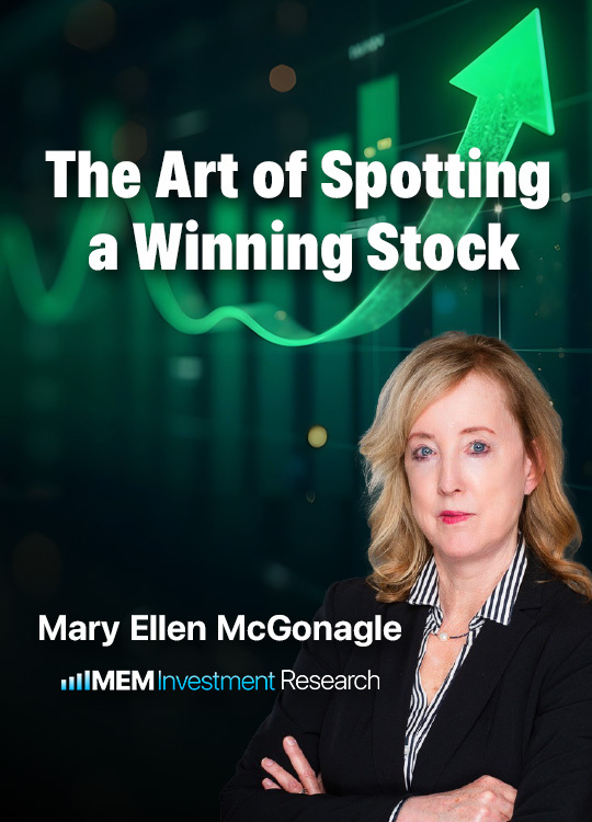 The Art of Spotting a Winning Stock